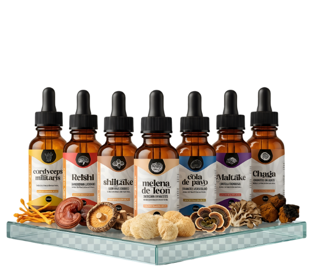 hongos adaptogenos